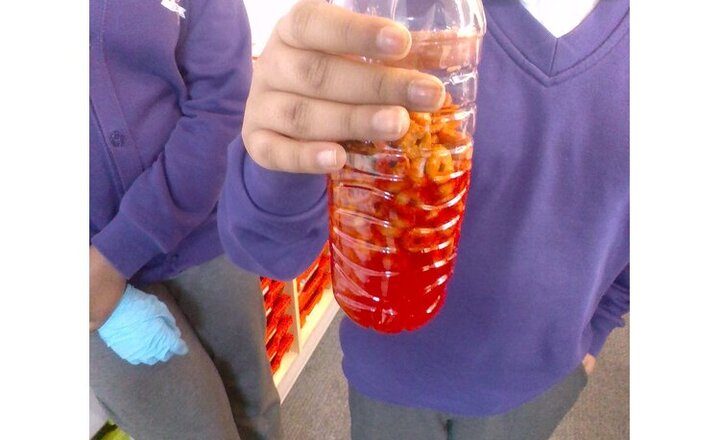 Image of Year 6 science-blood