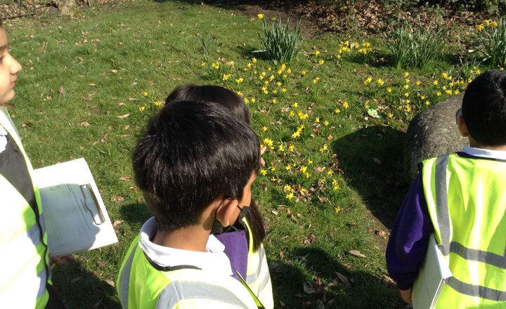 Image of KS1 Looking for signs of Spring