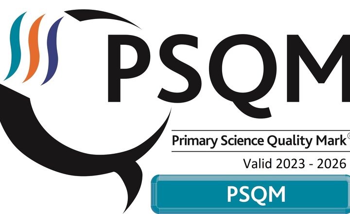 Image of Primary Science Quality Mark