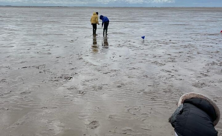 Image of Habitat Study in Year 4 in the River Ribble Estuary